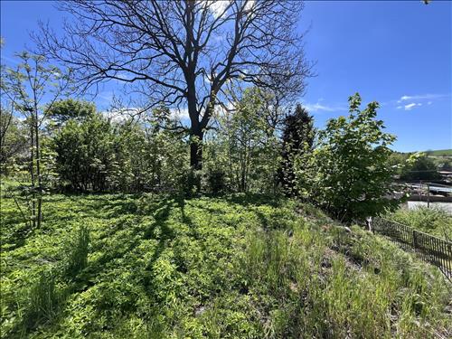 Prodej, stavební pozemek, Budišov nad Budišovkou